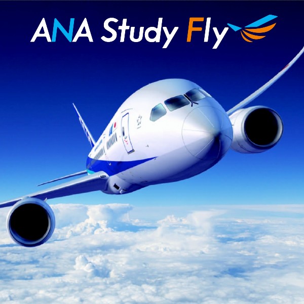 ANA Study Fly